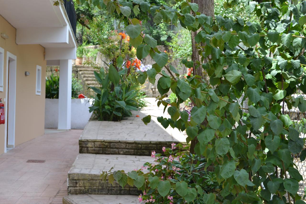 בניטסס Iliana Studios מראה חיצוני תמונה